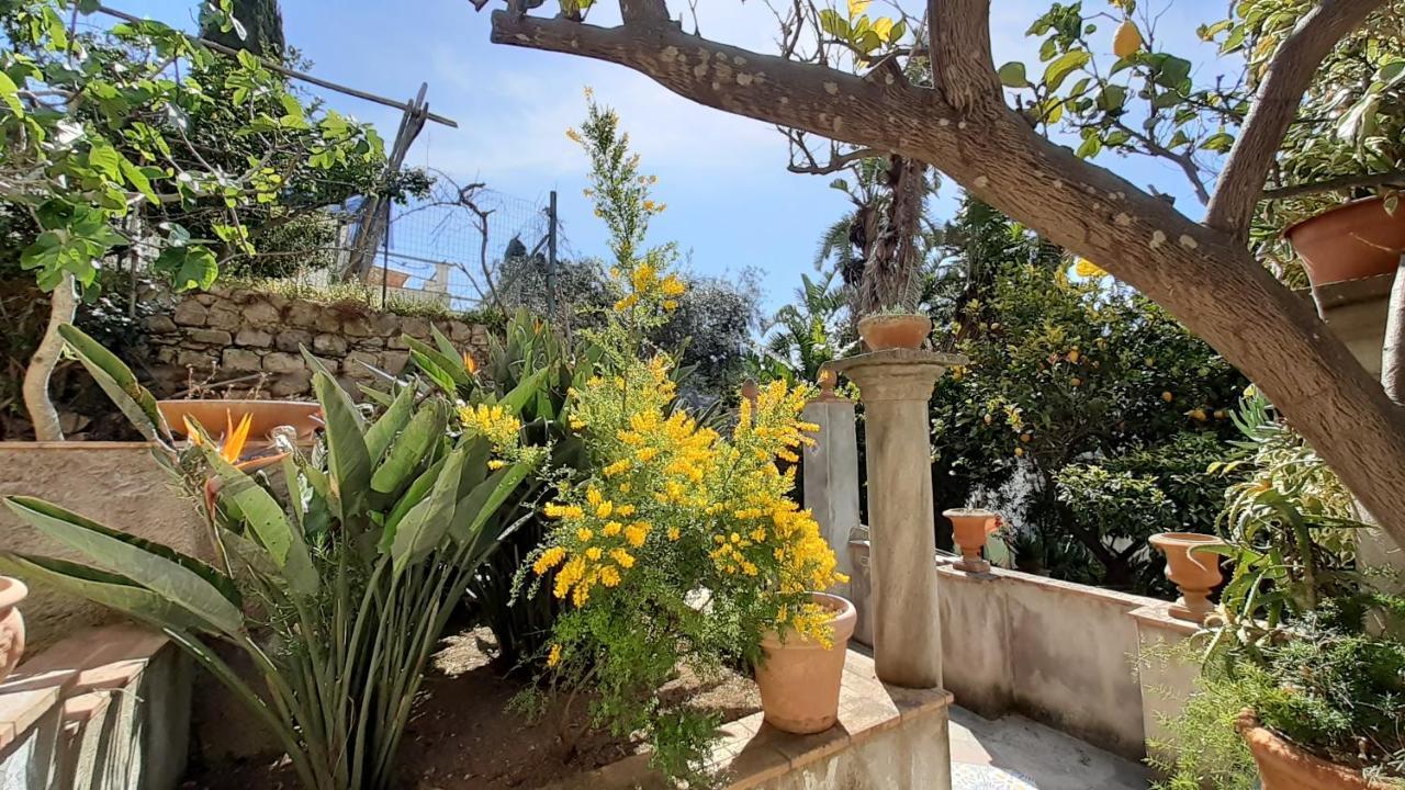 Villa Dorothee Capri Kültér fotó