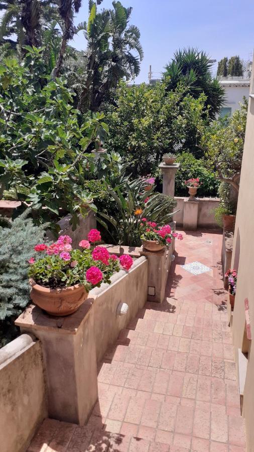 Villa Dorothee Capri Kültér fotó