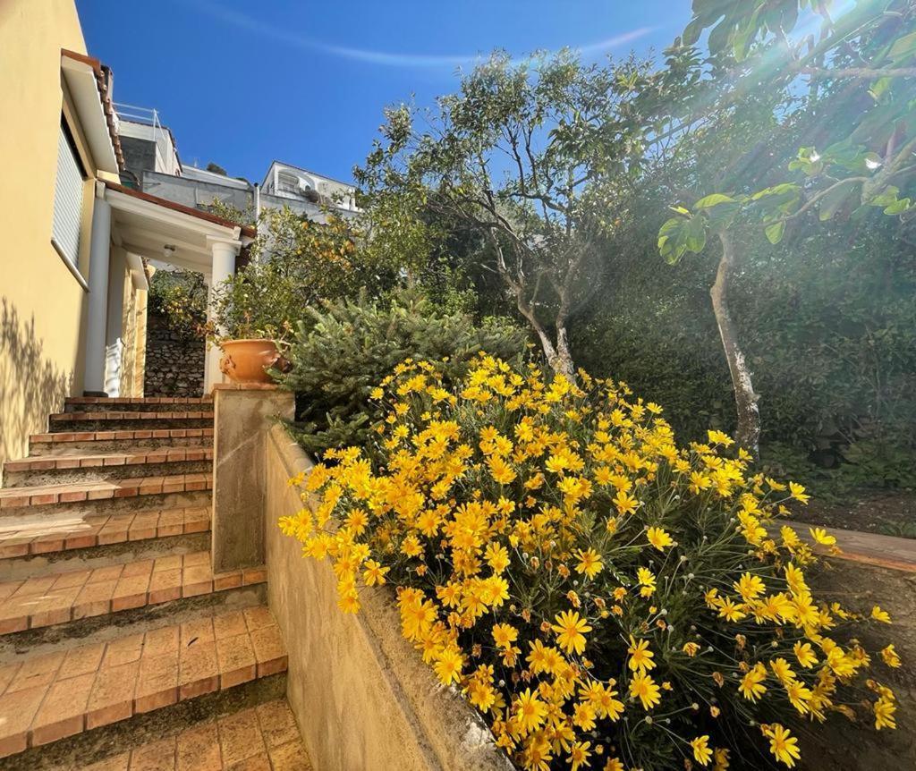 Villa Dorothee Capri Kültér fotó